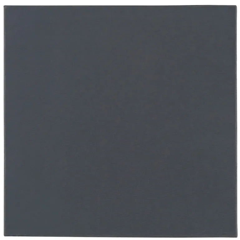 Almohadilla Térmica Thermal Grizzly Minus Pad Pro 100 x 100 x 0,5 mm